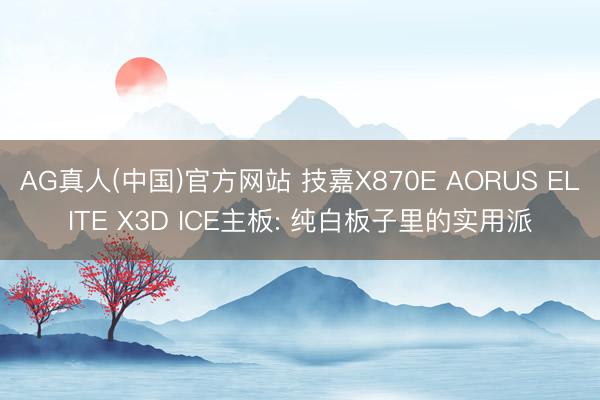 AG真人(中国)官方网站 技嘉X870E AORUS ELITE X3D ICE主板: 纯白板子里的实用派