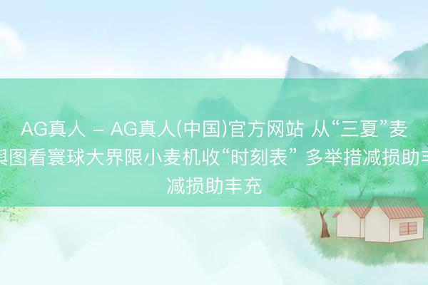 AG真人 - AG真人(中国)官方网站 从“三夏”麦收舆图看寰球大界限小麦机收“时刻表” 多举措减损助丰充