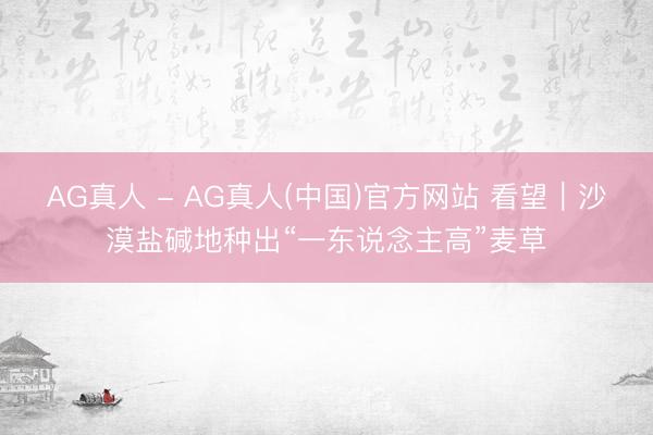 AG真人 - AG真人(中国)官方网站 看望｜沙漠盐碱地种出“一东说念主高”麦草
