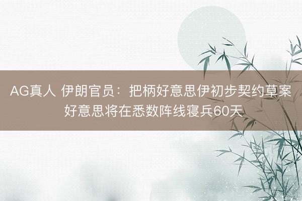AG真人 伊朗官员:把柄好意思伊初步契约草案 好意思将在悉数阵线寝兵60天