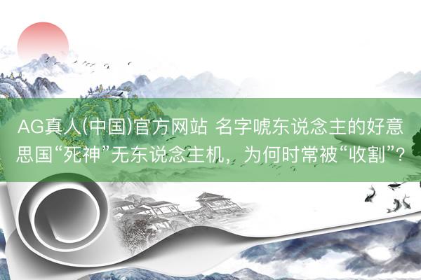 AG真人(中国)官方网站 名字唬东说念主的好意思国“死神”无东说念主机，为何时常被“收割”？